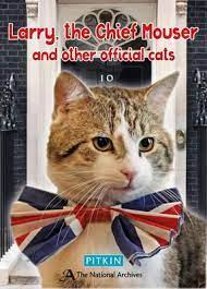 ElizabethRadcl5's tweet photo. Larry the Cat you sure won't see YOUR books in any bargain basket - TOP DOLLAR only for YOUR books x Larry for PM PURR-LEASE! x πΎπΎπΎπ±π±π± #CatsOfTwitter #catsofinstagram #geteveryonereading #larrythecatforPM https://t.co/aCHvI21AYn