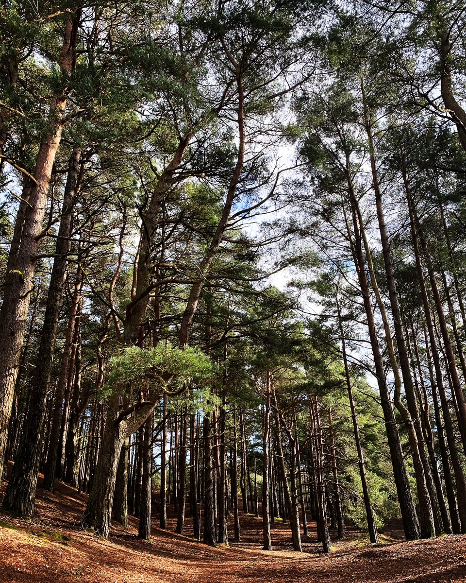 CommsUnplugged's tweet photo. βIt seems to me that the natural world is the greatest source of excitement; the greatest source of visual beauty; the greatest source of intellectual interest. It is the greatest source of so much in life that makes it worth living.β
SirDavidAttenborough
#MHAW #UnplugwithNature https://t.co/fy9mmFhYas