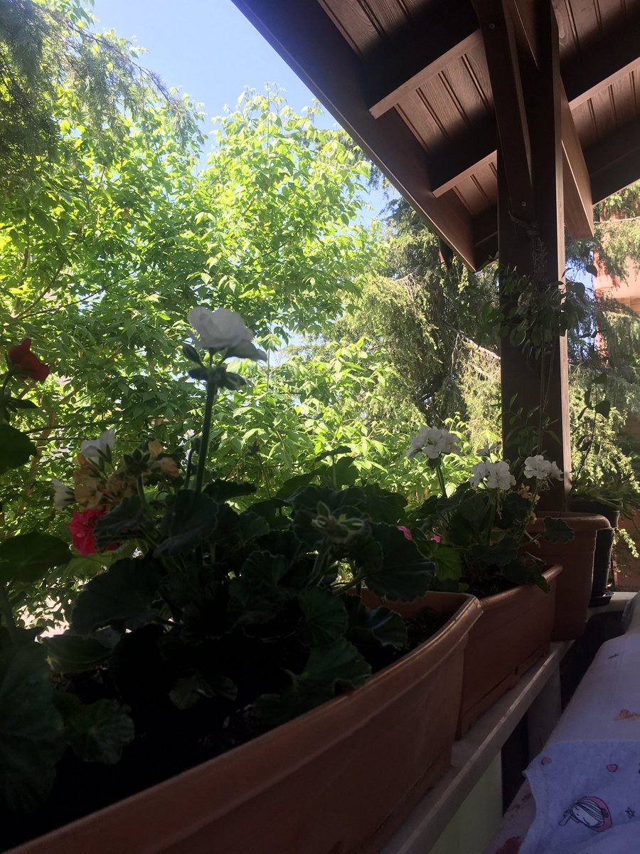 sevncan's tweet photo. …

Dünya tatlı da, birbirine çirkin yazgılar oluşturmak için insanlar yaratıyor tatsızlıkları…

#VedatTürkali https://t.co/MFU1pmdFFX