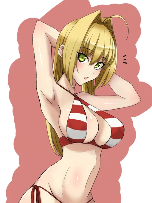 ドレスネロちゃまと水着ネロちゃま
#FGO #FateGO 