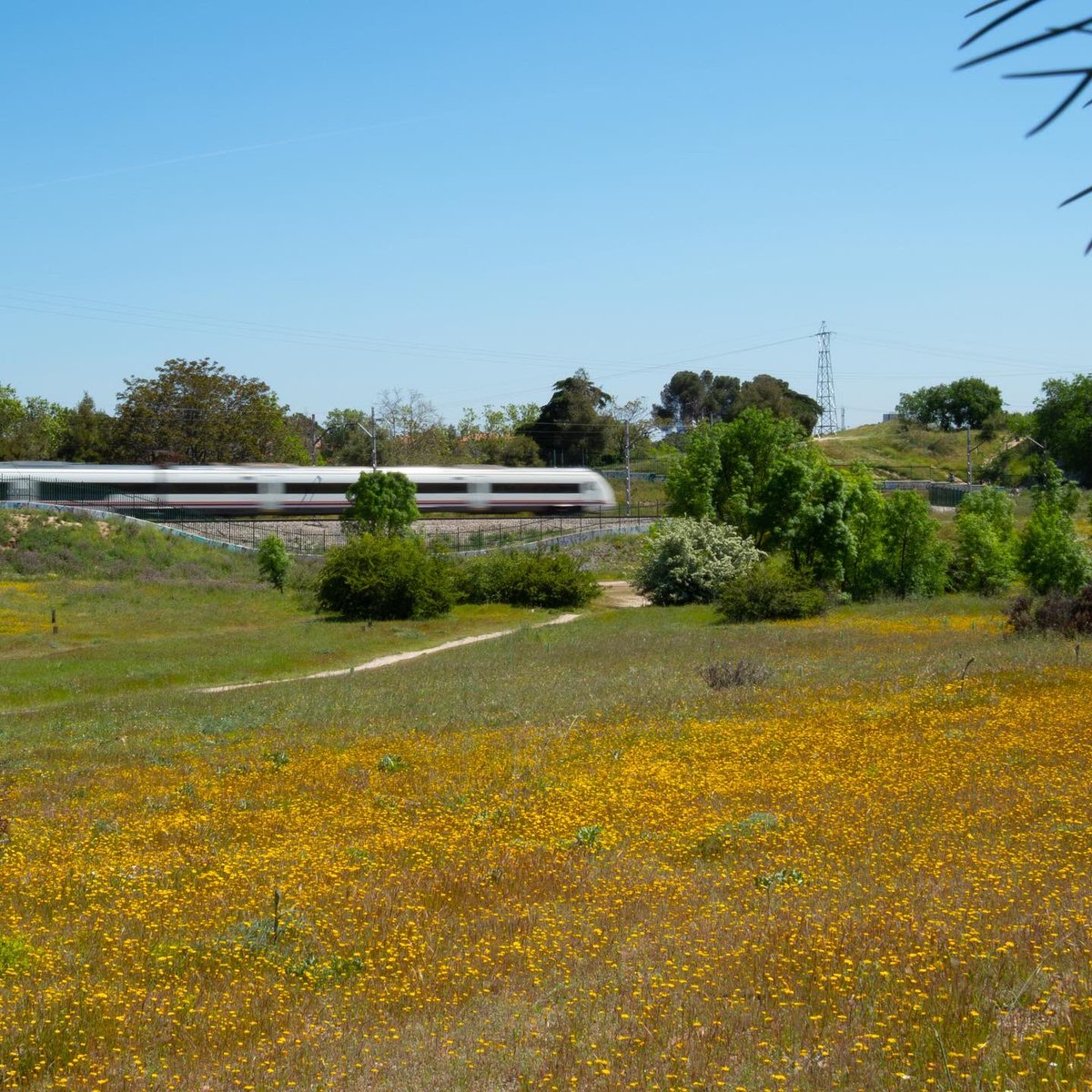 Guardabarreras tweet media