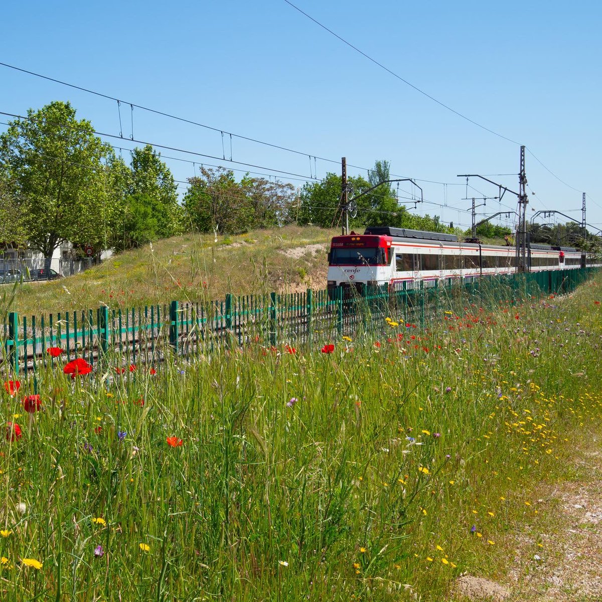 Guardabarreras tweet media