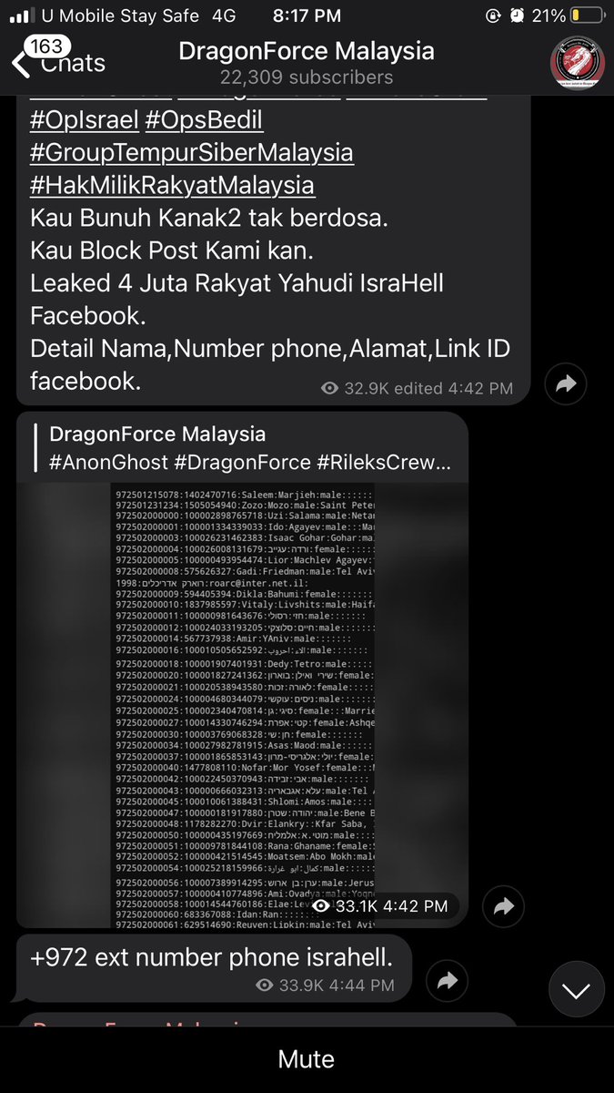 Dragon force malaysia hacker