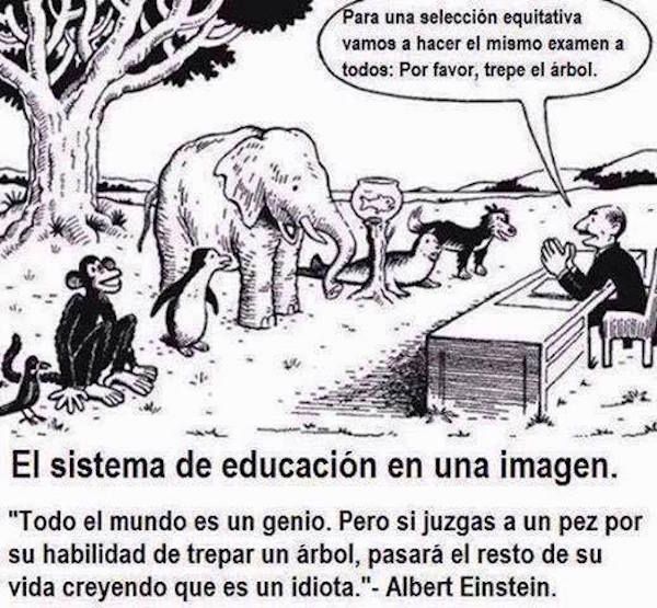 EcoInventos's tweet photo. El sistema de educación en una imagen. https://t.co/YtRO9CJpkl