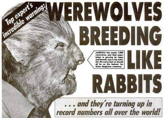 Hairy Larry Talbot tweet media