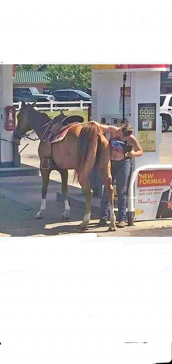 wordman5's tweet photo. Things you might see in the southern part of the US right now 😂😂😂 https://t.co/G3TewEbEXh