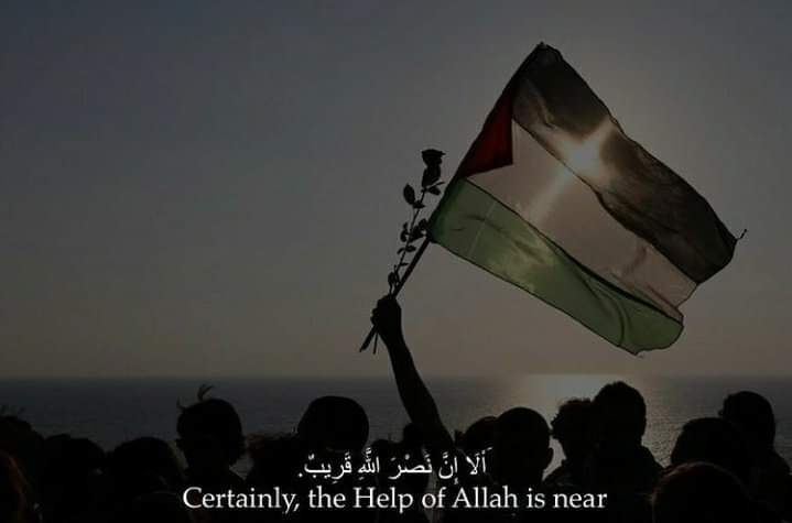 samsemoo22's tweet photo. يا عنايه الله المشدده التفي حول فلسطين ومن بها 
بسم الله على فِلسطين حتى يطمَئن فؤادُها.”
#GazzaUnderAttack https://t.co/Zb4vCnOlQC