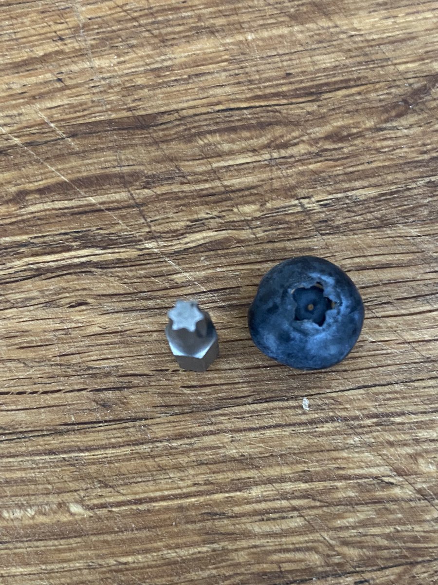 LastSignals's tweet image. Heidelbeeren nur mit Torx aufschrauben, oder?