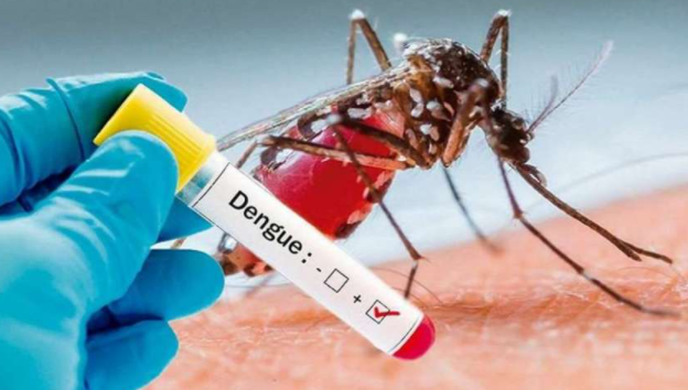 Luis_Corral_Gud's tweet photo. Poniendo al día protocolos nos hemos encontrado con una de las infecciones por picadura de mosquitos más frecuentes del mundo, el DENGUE

Un repaso en 1/20

 @ligero999 @drmiguelmarcos @PROAmacarena @Virusemergentes https://t.co/QAd8glxhR7