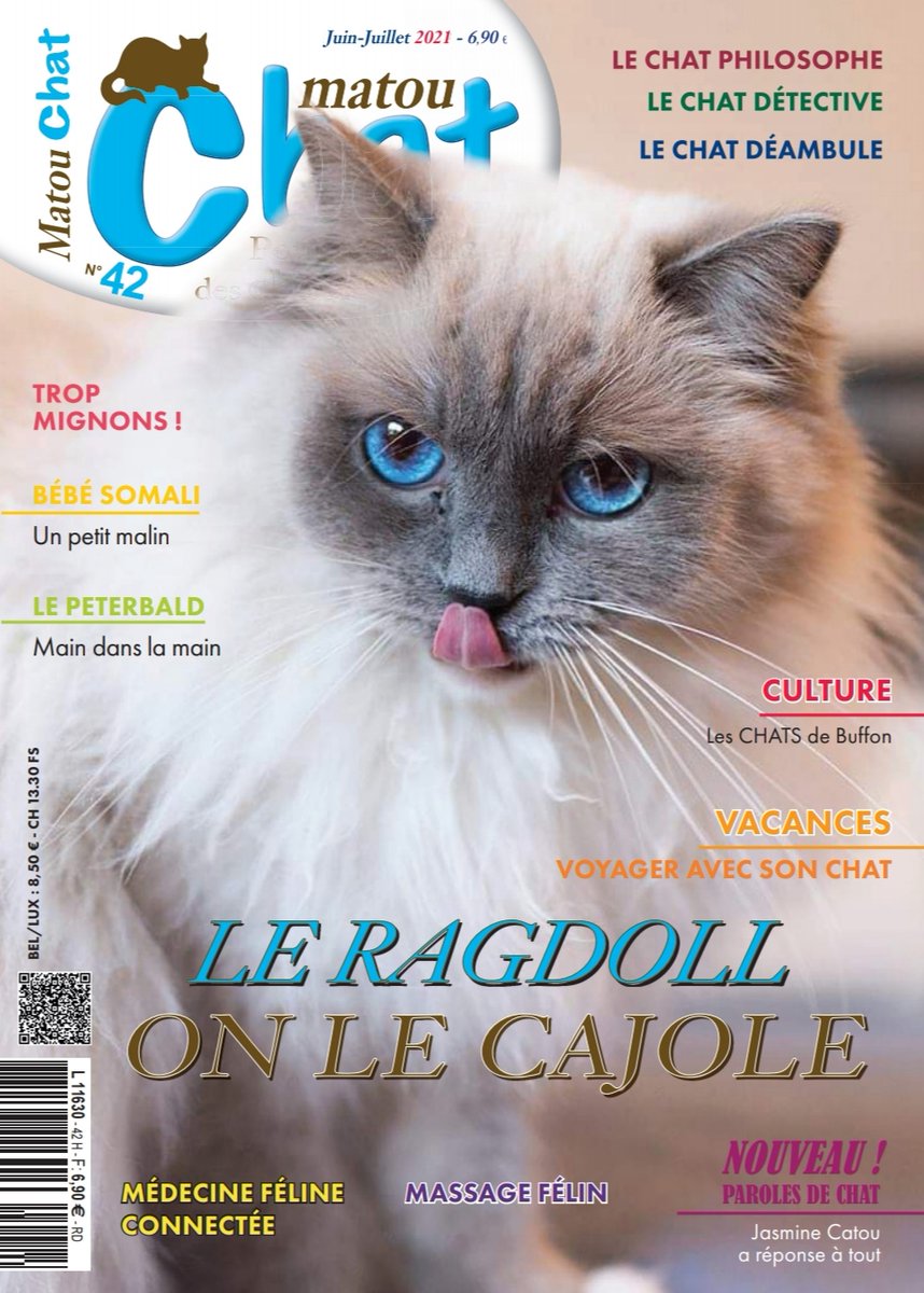 Catspad Catspadofficial Twitter