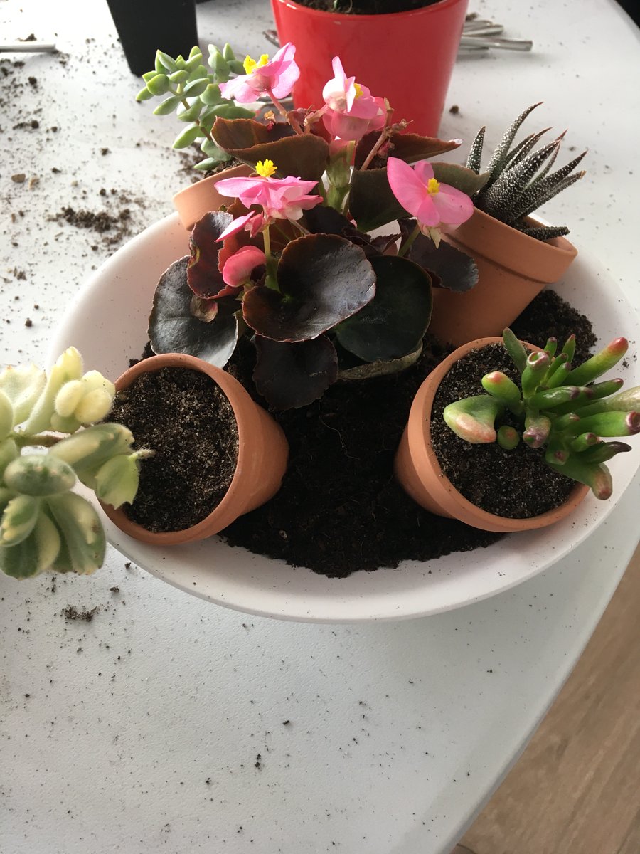 Senioriales de Bassens-Savoie tweet media