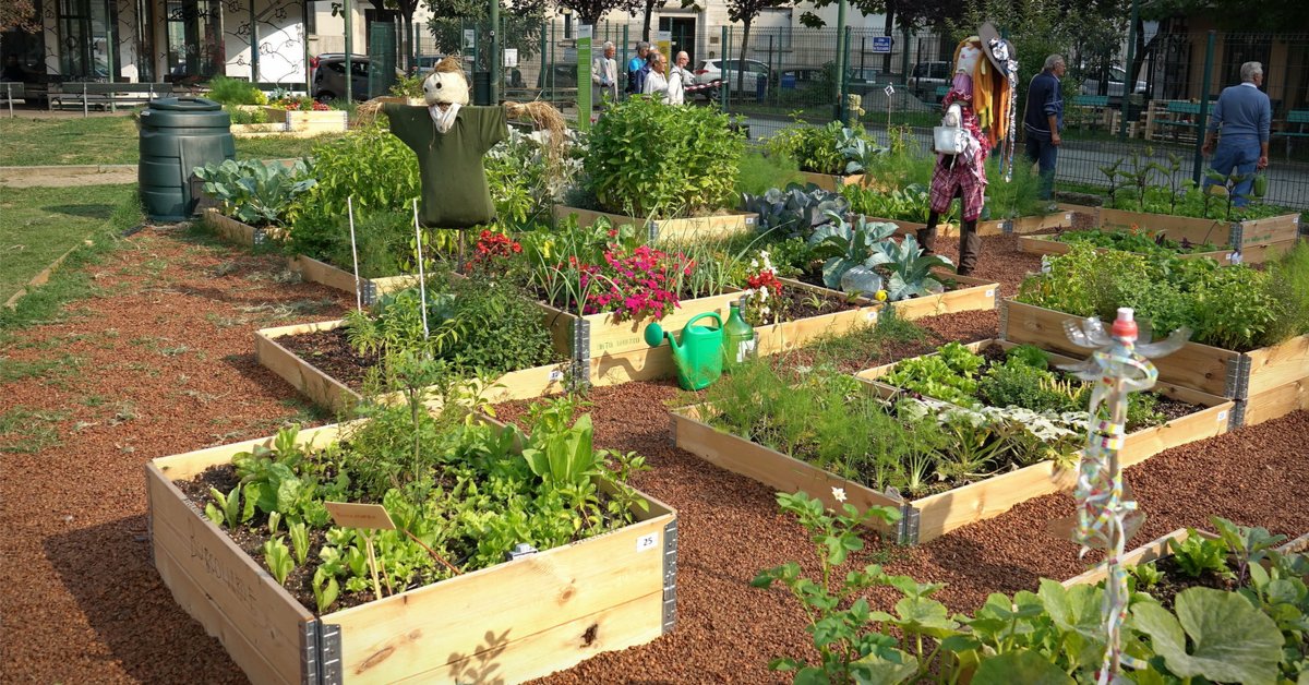 salonsrespire's tweet photo. Les beaux jours s'installent avec le plaisir de profiter des #jardins !
Vous n'en n'avez pas ? @MaVilleEngagee vous propose des solutions pour #jardiner quand même. 🌿
Alors, prêt à vous #engager ?
#developpementdurable #nature #ecologie https://t.co/uHEtm93ruy https://t.co/Su7YjzUuPO
