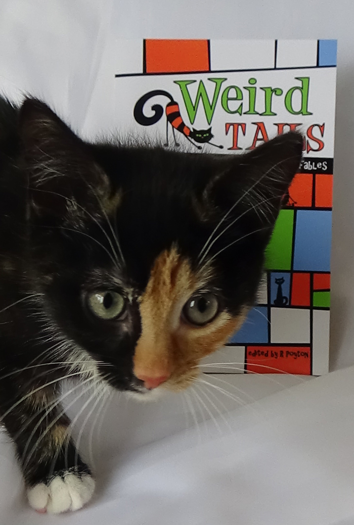 Pixie says "sign up to the new Innsmouth Whispers Newsletter today and get a 15% discount on all our books, music and T-shirts!"
eepurl.com/hysilb