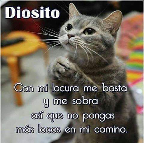 Godie112's tweet photo. #UribistaSigueUribista #FamiliaUribista #UribismoUnido2022 #SiguemeYTeSigo #SiguemeYTeSigoDeVuelta #SiguemeYTeSigoCumplo #SiguemeYTeSigoEnSegundos #SiguemeYTeSigoVox #ViernesDeGanarSeguidores https://t.co/4AFxFzWyIH