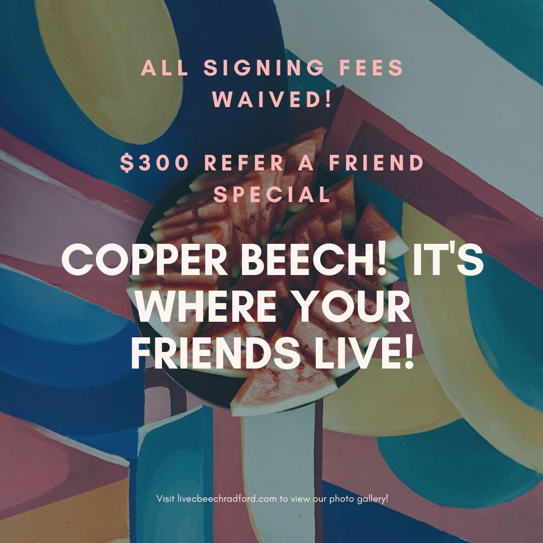 Copper Beech Radford tweet media