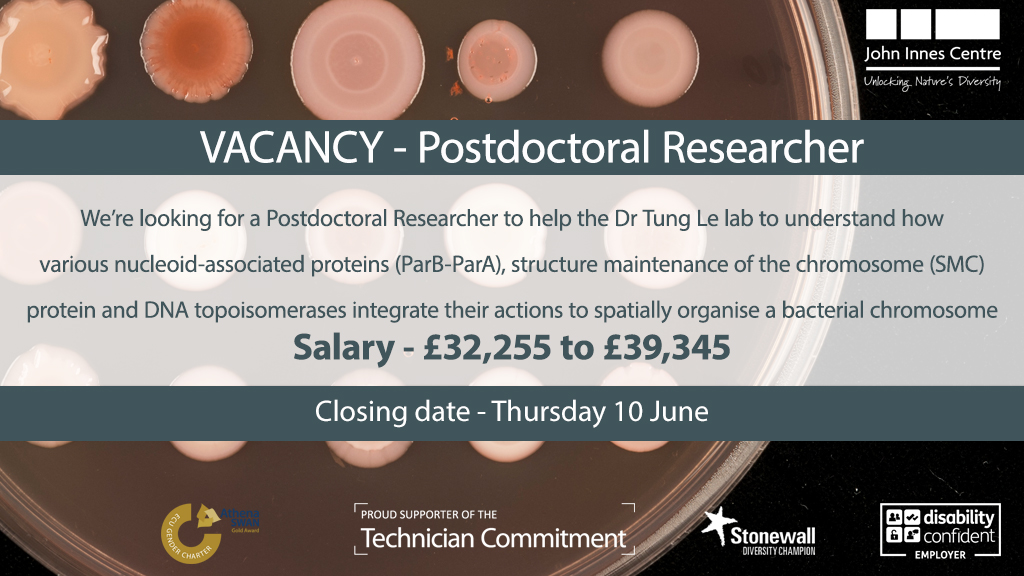 VACANCY - We’re looking for a Postdoctoral Researcher to help the <a href="/Tung_BK_Le/">Tung Le</a> lab to understand how various nucleoid-associated proteins (ParB-ParA), structure maintenance of the chromosome (SMC) protein

📅 - Thursday 10 June
 💷 - £32,255 to £39,345

okt.to/XCy6VE