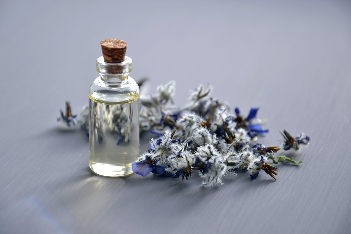 MangoPublishing's tweet photo. Celebrate the year with a little bit of magic from @MoonSpellMagic (author of "Moon Spell Magic") now on @WnP_Official : https://t.co/2eIPjlh71e 

#charm #holidaymagic #connection #spell #spellwork #incantation #ritual  #cork #bottlemagic #psychic #magicalmoments #witchtwt https://t.co/RqGhJguMjs