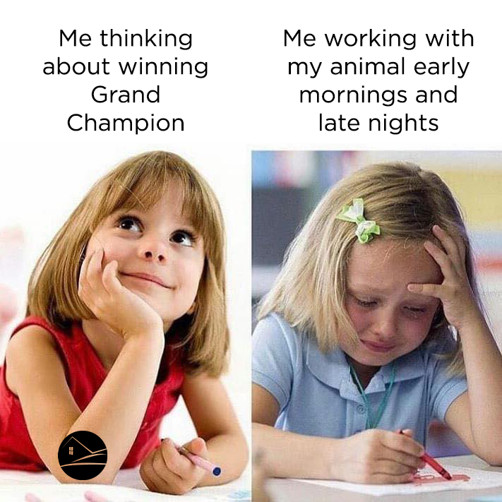 Ranch House Designs tweet media