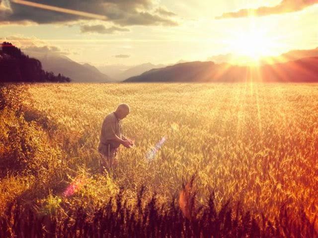 Emek, alın teri ve sevgileriyle üreterek topraklarımızın cömertliğini sofralarımıza sunan topraktan yalnızca kendi aşını değil, ekmeğini çıkaran toprağı karış karış işleyen fedakar ve cefakar tüm çiftçilerimizin
14 Mayıs Dünya #ÇiftçilerGünü Kutlu Olsun.