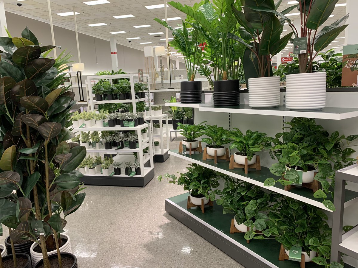 Come checkout out latest brand, Hilton Carter <a href="/Target/">Target</a> 🌱🌵🪴🌿🌳 Absolutely Stunning ✨✨✨✨ Come checkout the beautiful selection of live and fake plants #HiltonCarterxTarget #HiltonCarter #Plants <a href="/RobertYep/">Robert yep</a> <a href="/Le_Hulett/">Leandra Hulett</a> <a href="/Jfofana16/">Jenneba Fofana</a>