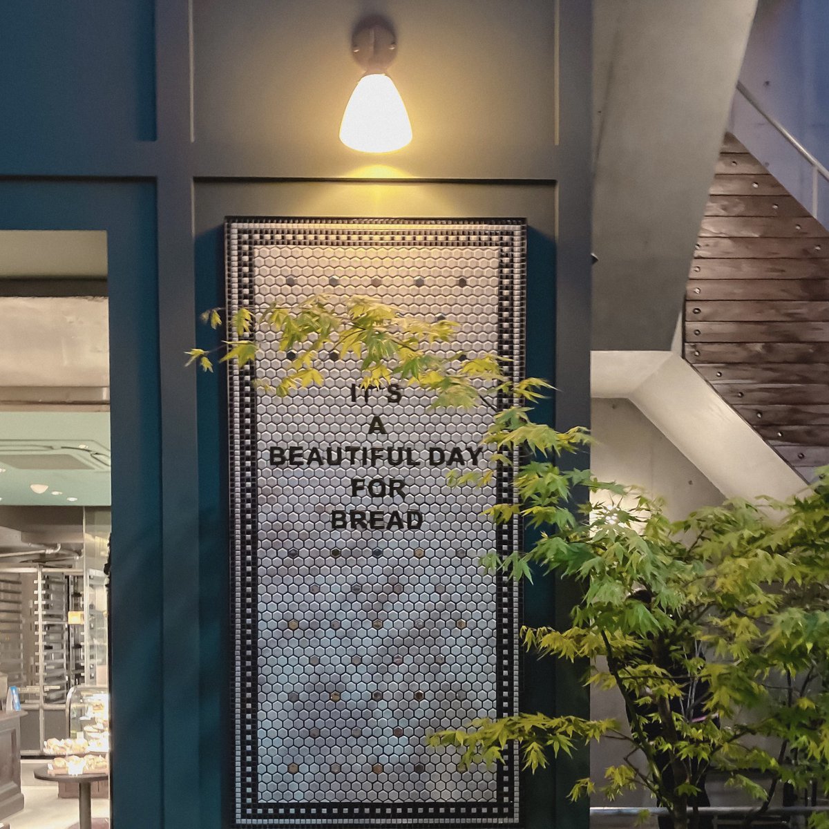 mapooo_t's tweet image. 渋谷にあるパン屋「#greenthumb」でおうちモーニング！このキャロットケーキ可愛いのにおいしかった〜。メロンパンもサクサクでおいし。夜に行ったから一番人気のあんバターは売り切れ。。。今度リベンジ！営業時間は8:00〜19:00まで👌
#東京パン屋 #渋谷パン屋