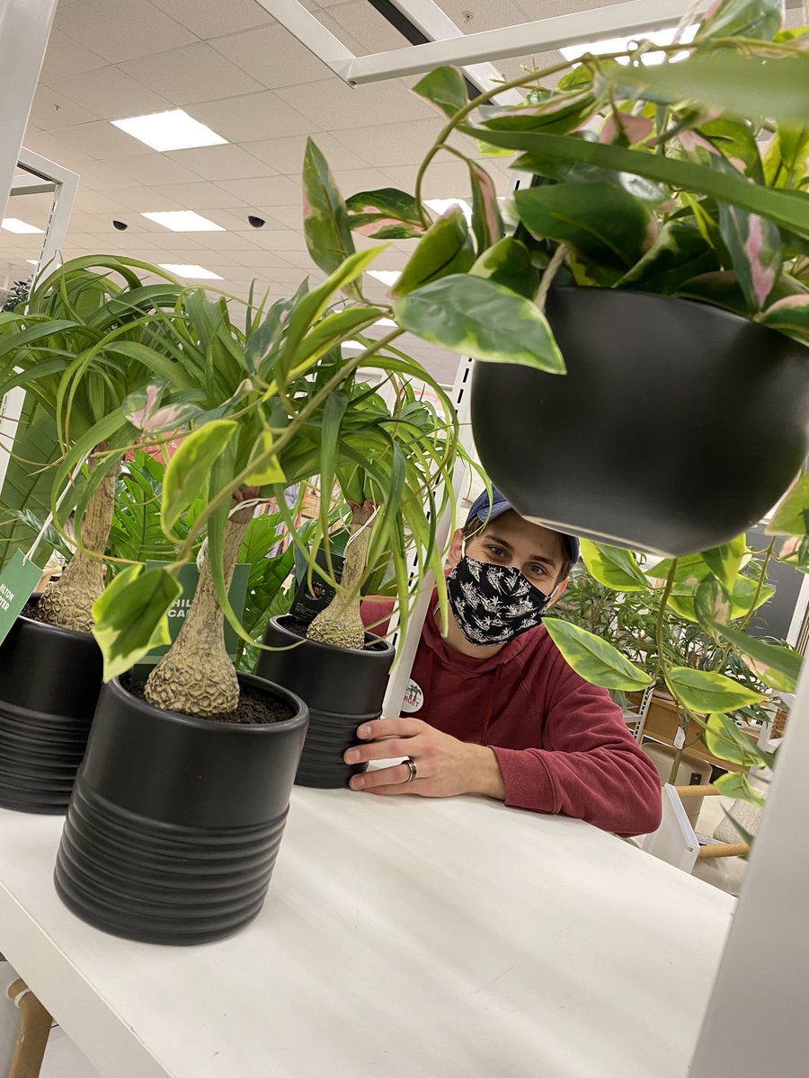 KBoltik's tweet image. Grow. Care. Win! Come check out our beautiful Happy Plant, Happy you, by @hiltoncarter