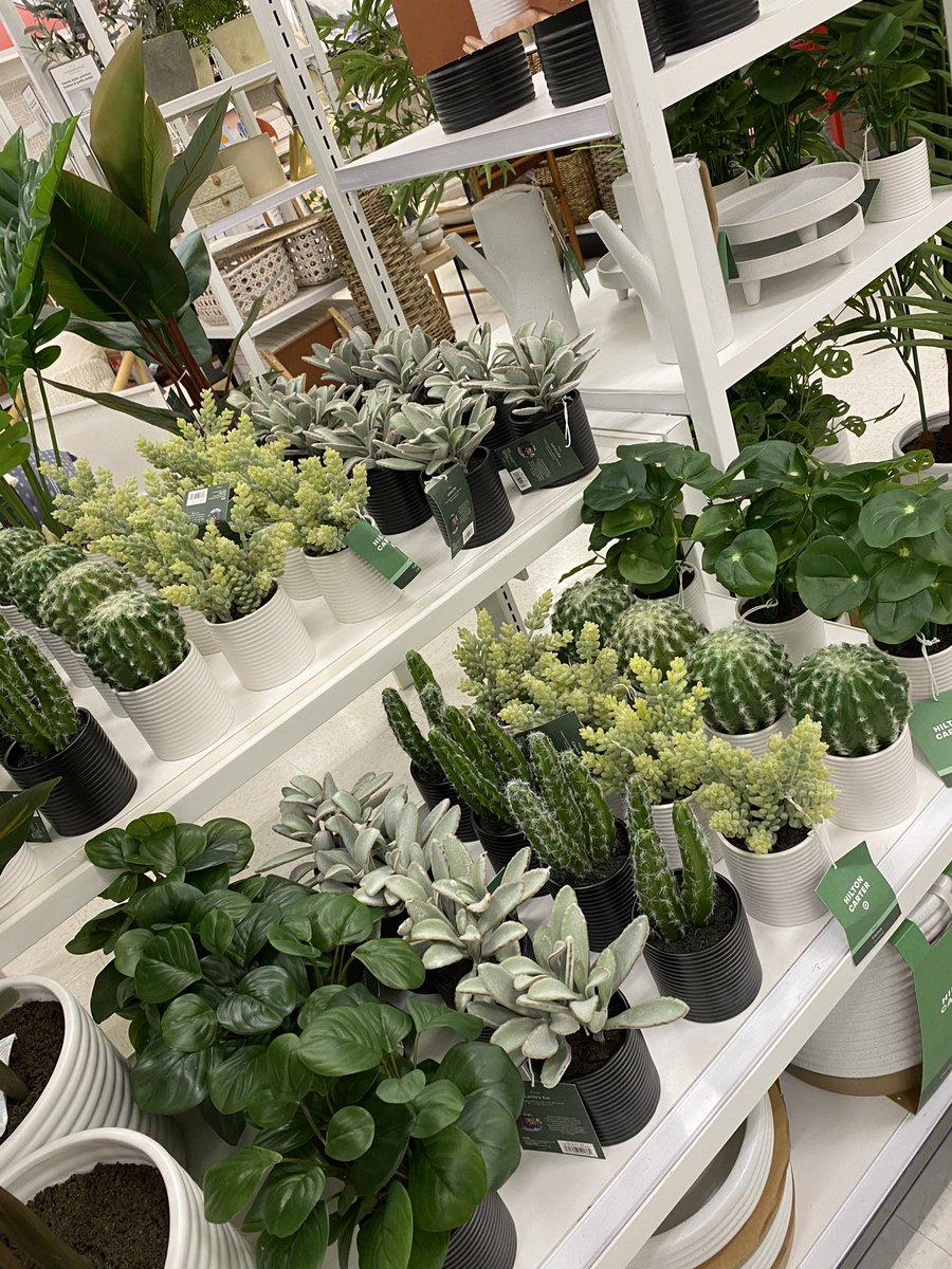 KBoltik's tweet image. Grow. Care. Win! Come check out our beautiful Happy Plant, Happy you, by @hiltoncarter