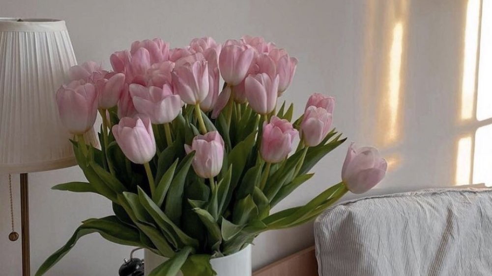 ทิวลิปถึงเขา (น.)
หมายถึง เธอทำให้เราตกหลุมรักเธอใหม่ซ้ำๆในทุกวันเลย ความน่ารักของเธอมันร้ายกาจมาก พอมองไปที่เธอมันมีแต่ความรู้สึกดีๆ เสมอเลย เธอทำให้รู้ว่าท่ามกลางความใจร้าย ‘โลกนี้ก็มีความน่ารักอยู่นี่นา’