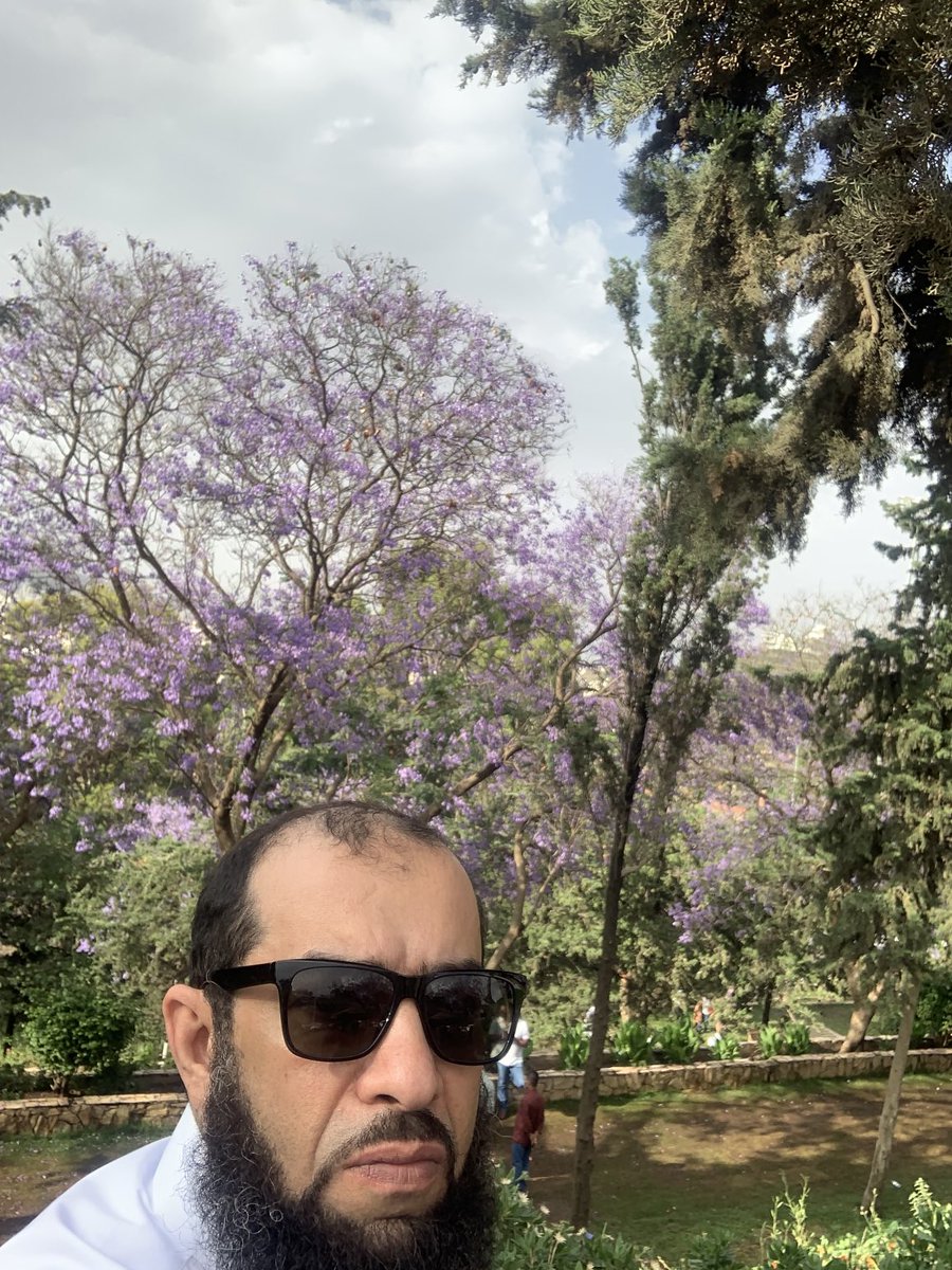 M_Alballa's tweet photo. https://t.co/IT9cxiv4Yi