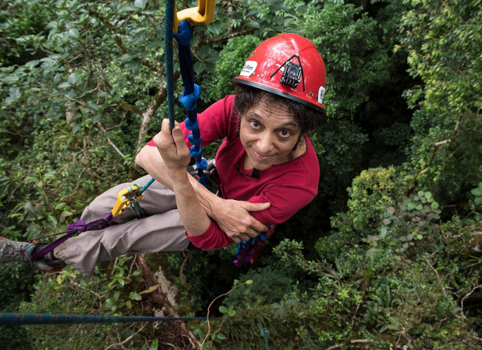 USL_NYC's tweet photo. New! 2-part #interview series now out on Resilience Quarterly featuring canopy #ecologist Nalini Nadkarni,  written by Michelle Frank. Learn more about Nadkarni's Moss in Prisons Project, and her career documenting the complex tapestry of #rainforests. https://t.co/T3AySqGXlq https://t.co/c4ymHOmVIC