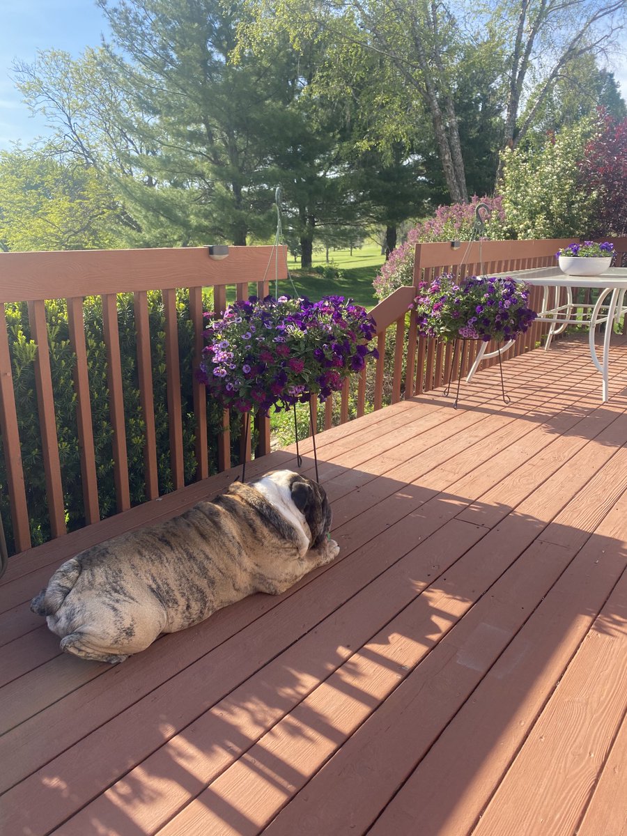 Edward Grothus tweet media