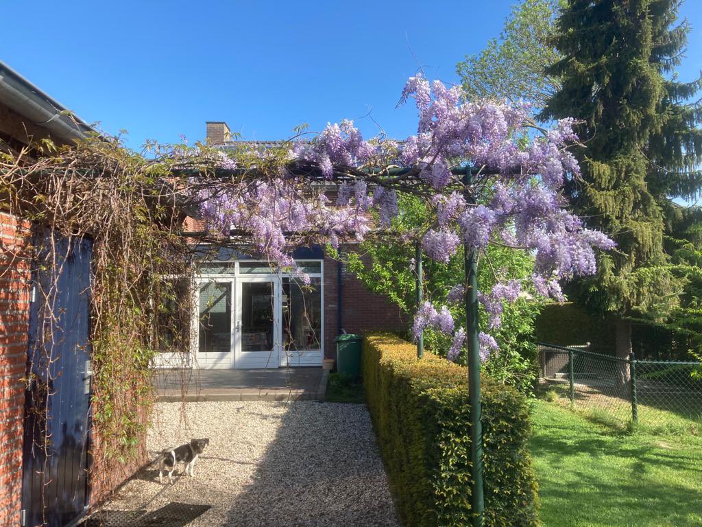 #oostwestthuisishetookgoed