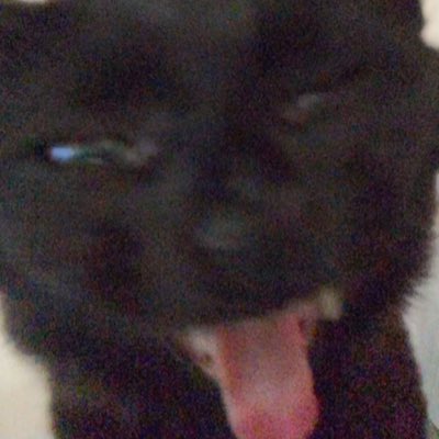 laineycatton's tweet photo. #NewProfilePic https://t.co/ESm1wa0ORY