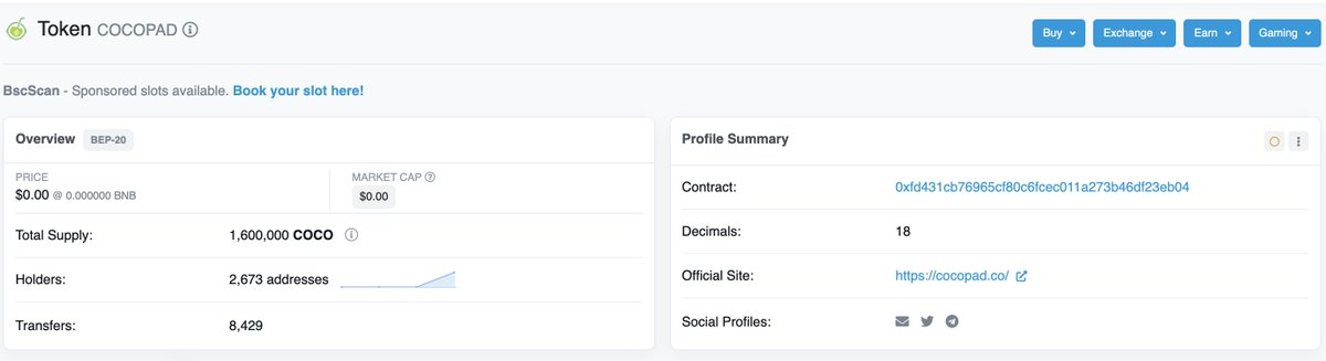 Updated Cocopad token info on bscscan.com