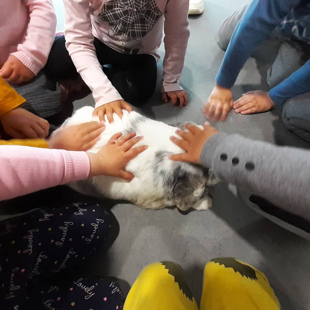 EMoixaines's tweet photo. Avui hem tingut el privilegi que el Toca-toca Viatger del CAN de Navàs ens hagi visitat a l'escola. Gràcies  AMPA per a fer-ho possible #can #novesexperiencies #apropament #curairespecte #nousaprenentatges  #ebmoixaines #ampamoixaines https://t.co/yjnnFwCXt9