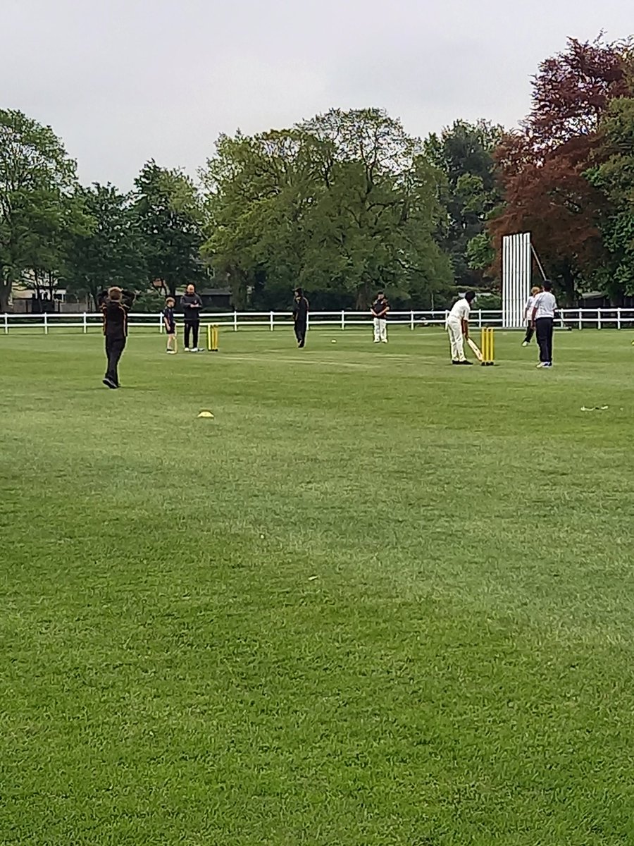 KES_SportsDept's tweet photo. A real buzz around the hive of cricket activity at Manor Road this afternoon with 130 year 7 boys involved - most of them playing matches against our good friends @BablakeSport. #fridaybuzz #navyandgold https://t.co/HhF8rwG2wE