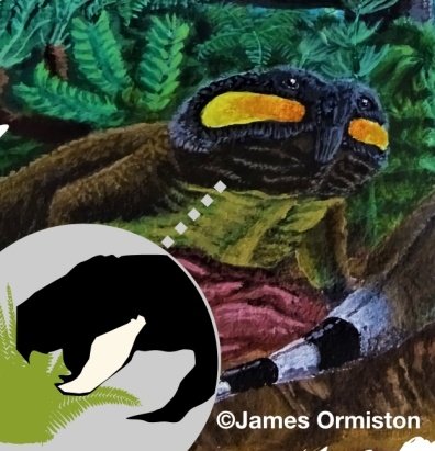 PalaeoSingh's tweet photo. Using #morphometrics, we compare the mandibular form & function of different #synapsid, #parareptile, & #archosauromorph herbivores from the Triassic - Early Jurassic to chart the evolution of the herbivore guild through multiple climatic upheavals & extinction events. 2/7 https://t.co/Tb1D9OYfWF