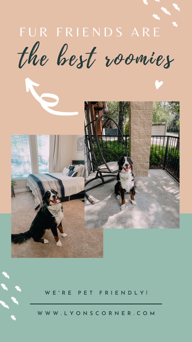 lyons_corner's tweet image. Fur friends are always welcomed at Lyons Corner! If you're looking for housing for you and your pet, you can apply online now for FREE! Secure your spot ✨🐶🤩 #uf24 #classof24 #ufhousing #gainesvillefl #uniflorida