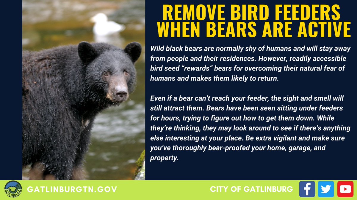 These basic tips will help keep bears wild and keep you safe! • Never feed  or approach bears. • Secure food, garbage and recycling. • Remove bird  feeders when bears are active. •, image size:1200x675