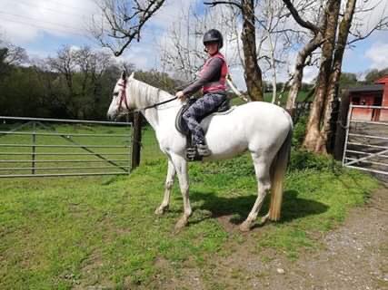 4 legs instead of two wheels today and still trying to figure out where the ignition was. Brakes were a bit dodgy too 🤷‍♀️