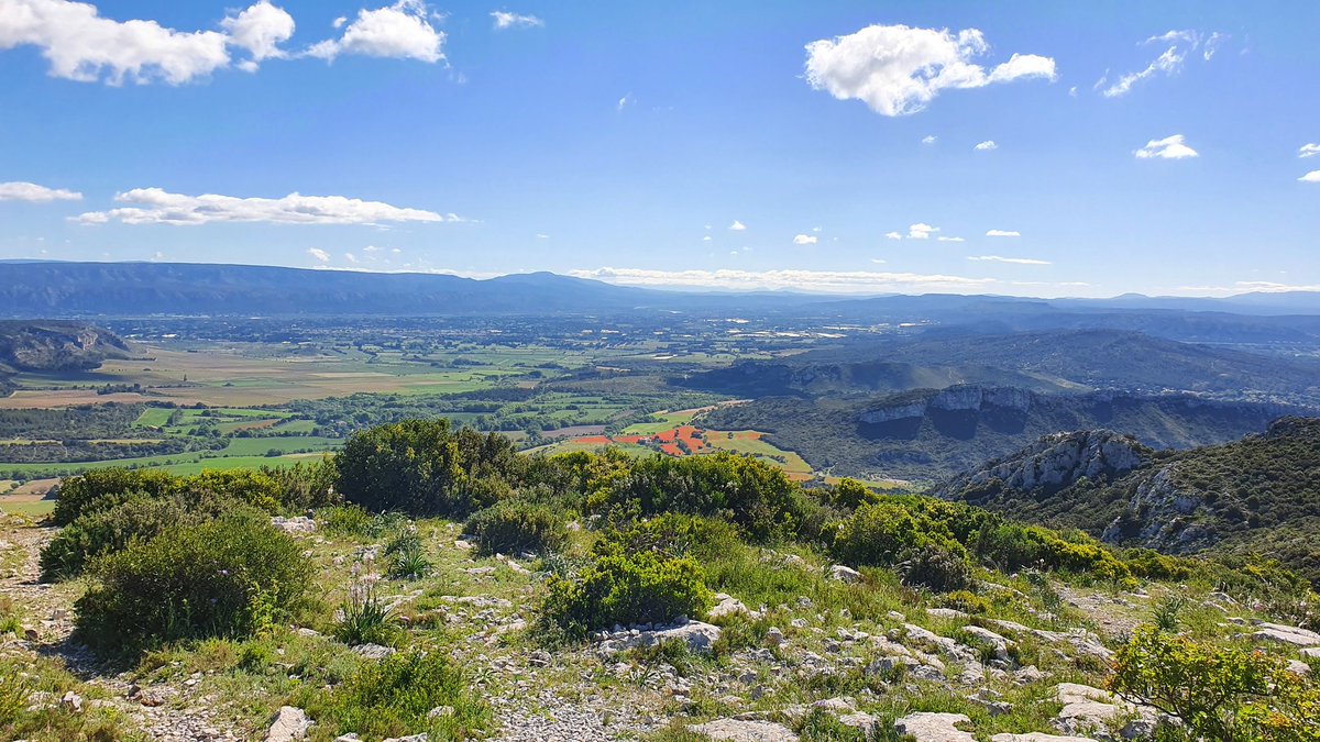 FitformP's tweet image. Une belle sortie Trail dans les Alpilles : sommet de la tour des Opies 524m 
#trail #trailer #running #alpilles #provence #opies #courseapied