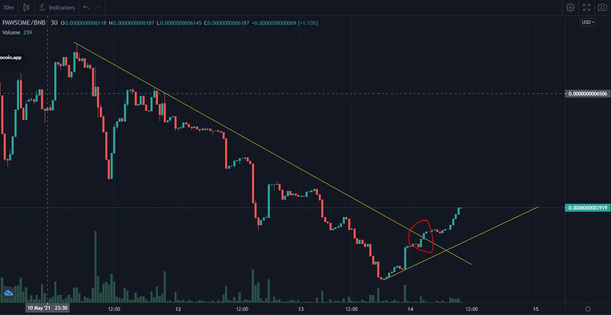 Pawsome Charity Token tweet media