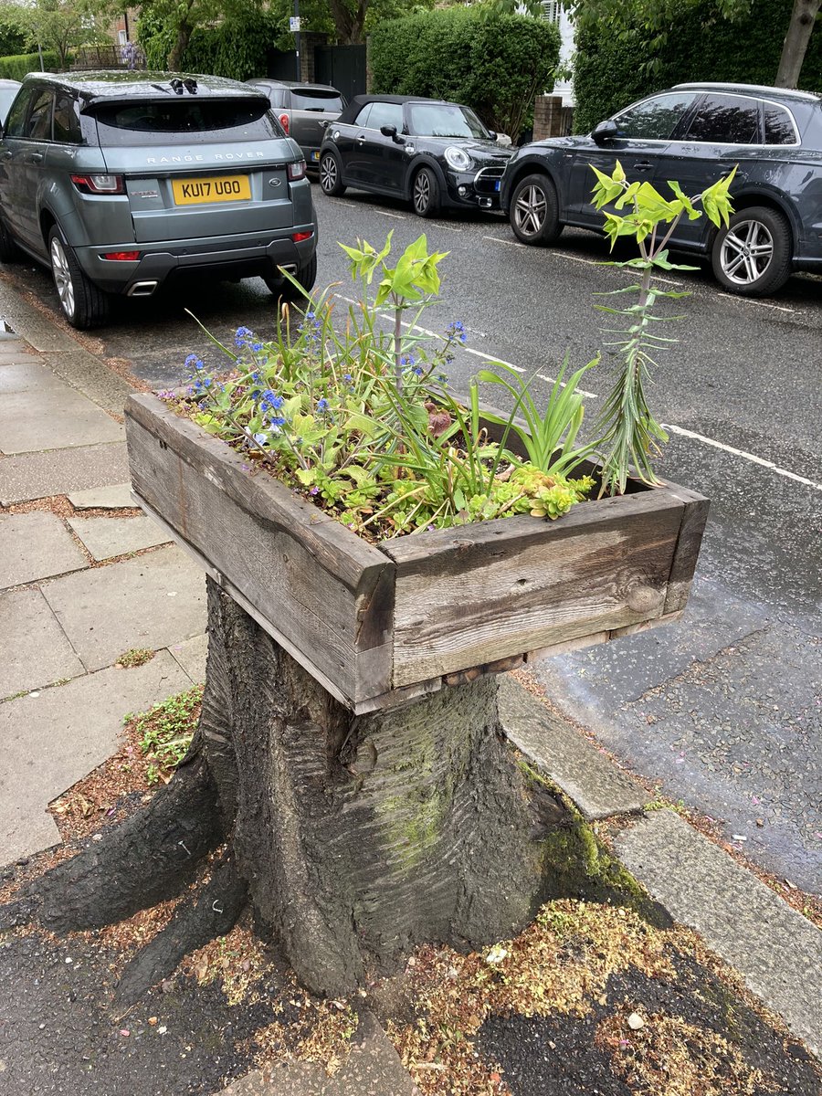 nigelobject's tweet image. Seen on my travels yesterday good use of a tree stump #Communityplanting #guerillaplanting #gardening