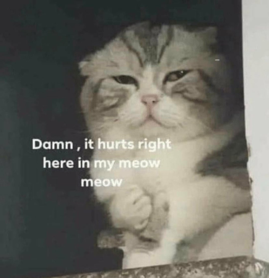 Pug8Bit's tweet image. 