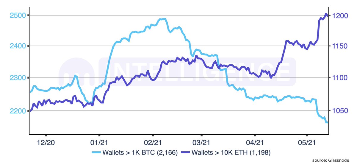 pete_humiston's tweet photo. The divergence between #ETH <> #BTC whales continues to intensify.

▫️ #Bitcoin wallets > 1,000 $BTC: 2,166, a 9-month low

▫️ #Ethereum wallets > 10,000 $ETH: 1,198, an ATH https://t.co/wl63PpJq7a