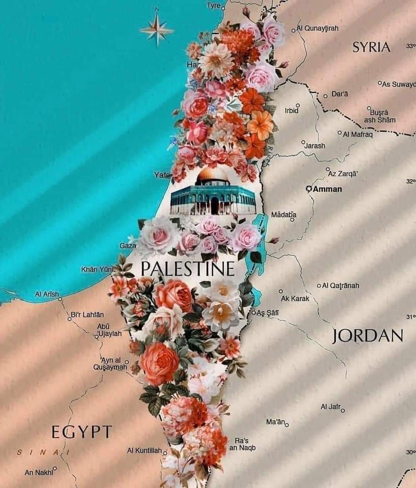 Asmae Mekhfi tweet media