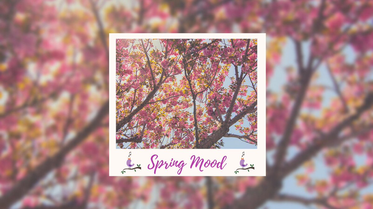 Yarmouth Chamber of Commerce tweet media