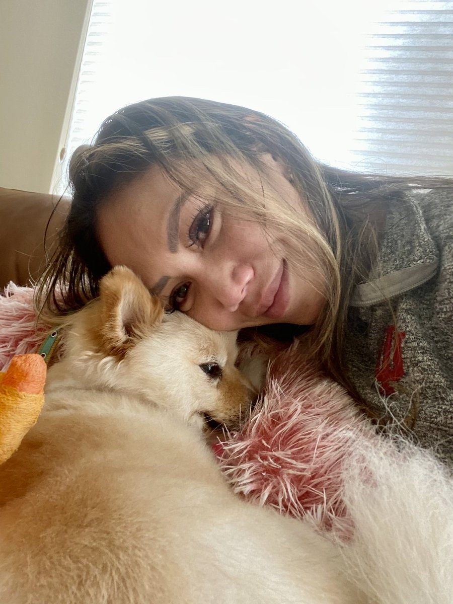 cayahefner's tweet photo. I lost My baby, my best friend, my rockstar, my heart. Thank you for giving me your whole life by showing me what true unconditional love and support partner is, like you. I love you always Angel Bear. Thank you for being you and let me be your mum ♥️#ripangelbear #dogmom https://t.co/ko1jcFullG