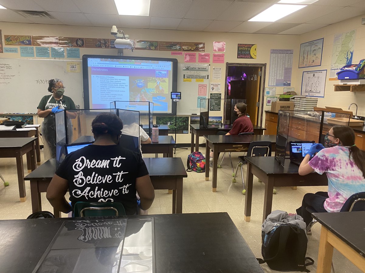 HCS_ScienceDept's tweet image. @KecoughtanHigh students participated in a comparative anatomy study dissecting different animals in Ms. Massey&apos;s Biology class.  @HamptonCSchools #hcsscience