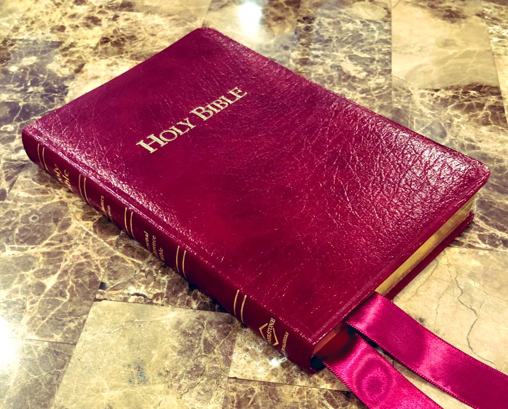 lcgorestudio tweet media